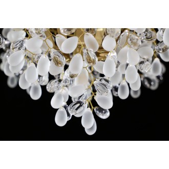 GRAPES CH-001-MB-CVW CVC