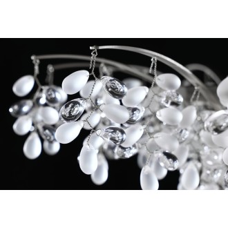 GRAPES CH-001-MNI-CVW CVC