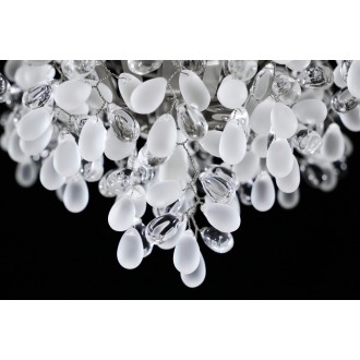 GRAPES CH-001-MNI-CVW CVC